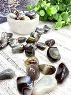 Botswana Agate Tumble