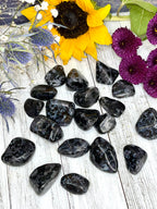 Indigo Gabbro Tumble | Mystic Merlinite