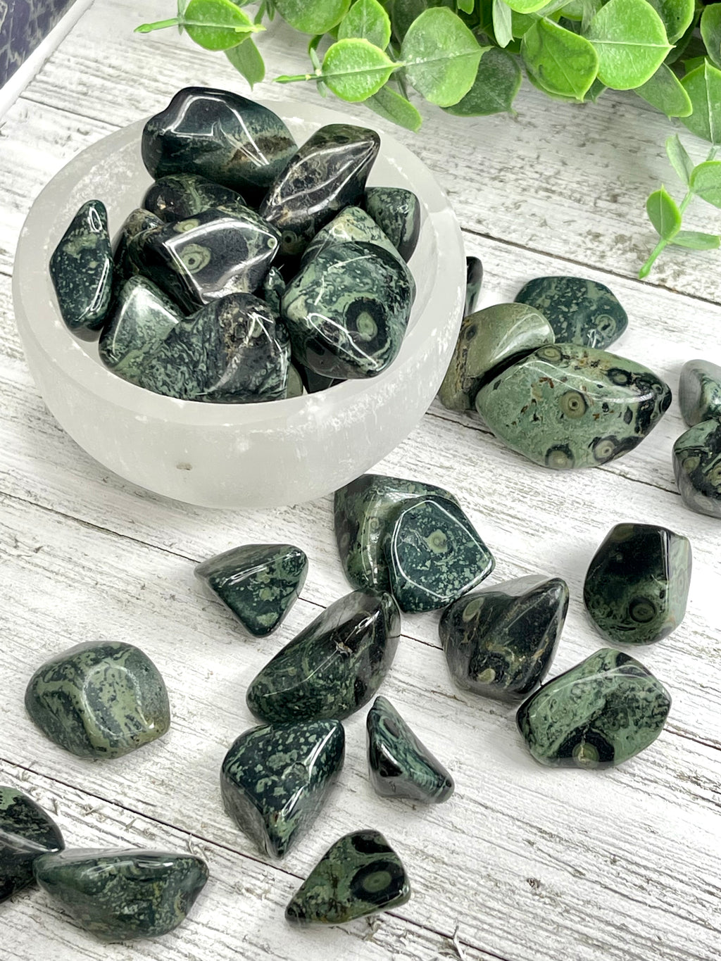 Kambaba Jasper Tumble