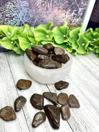 Bronzite Tumble
