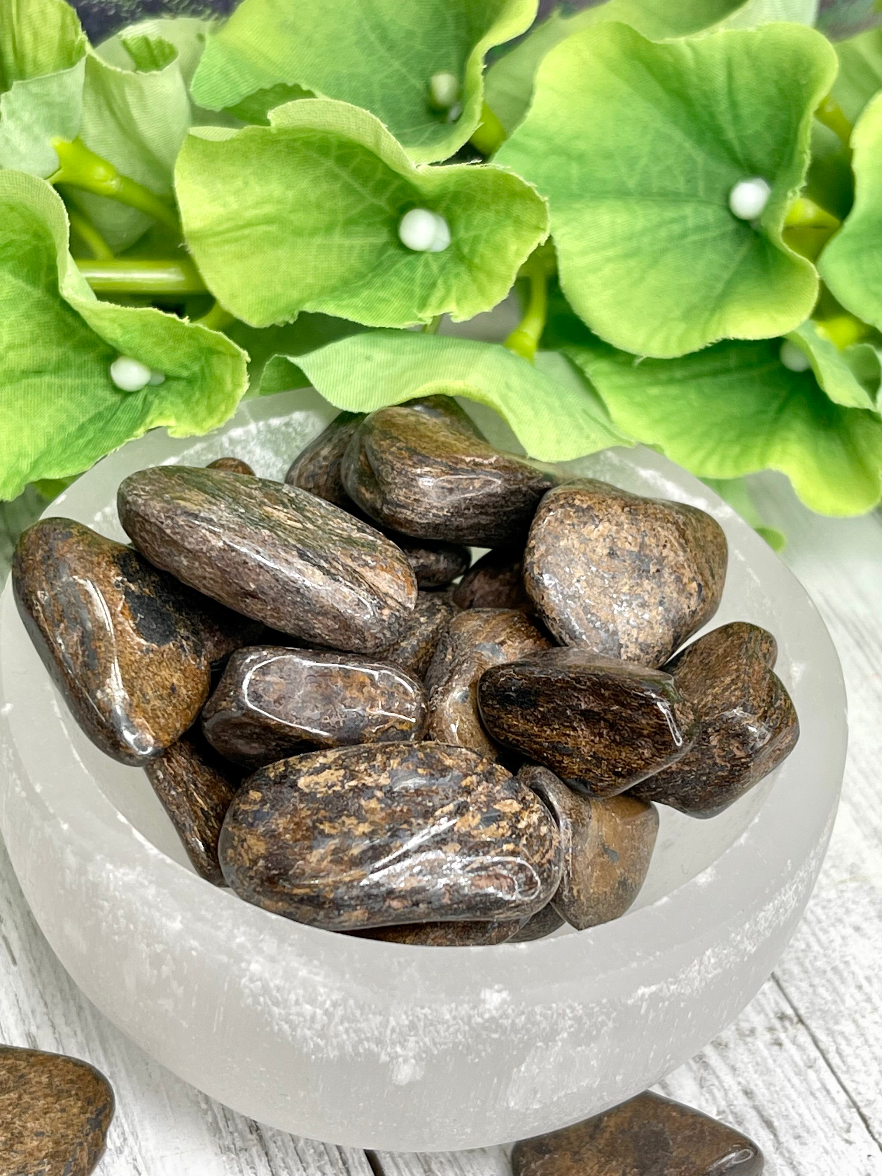 Bronzite Tumble