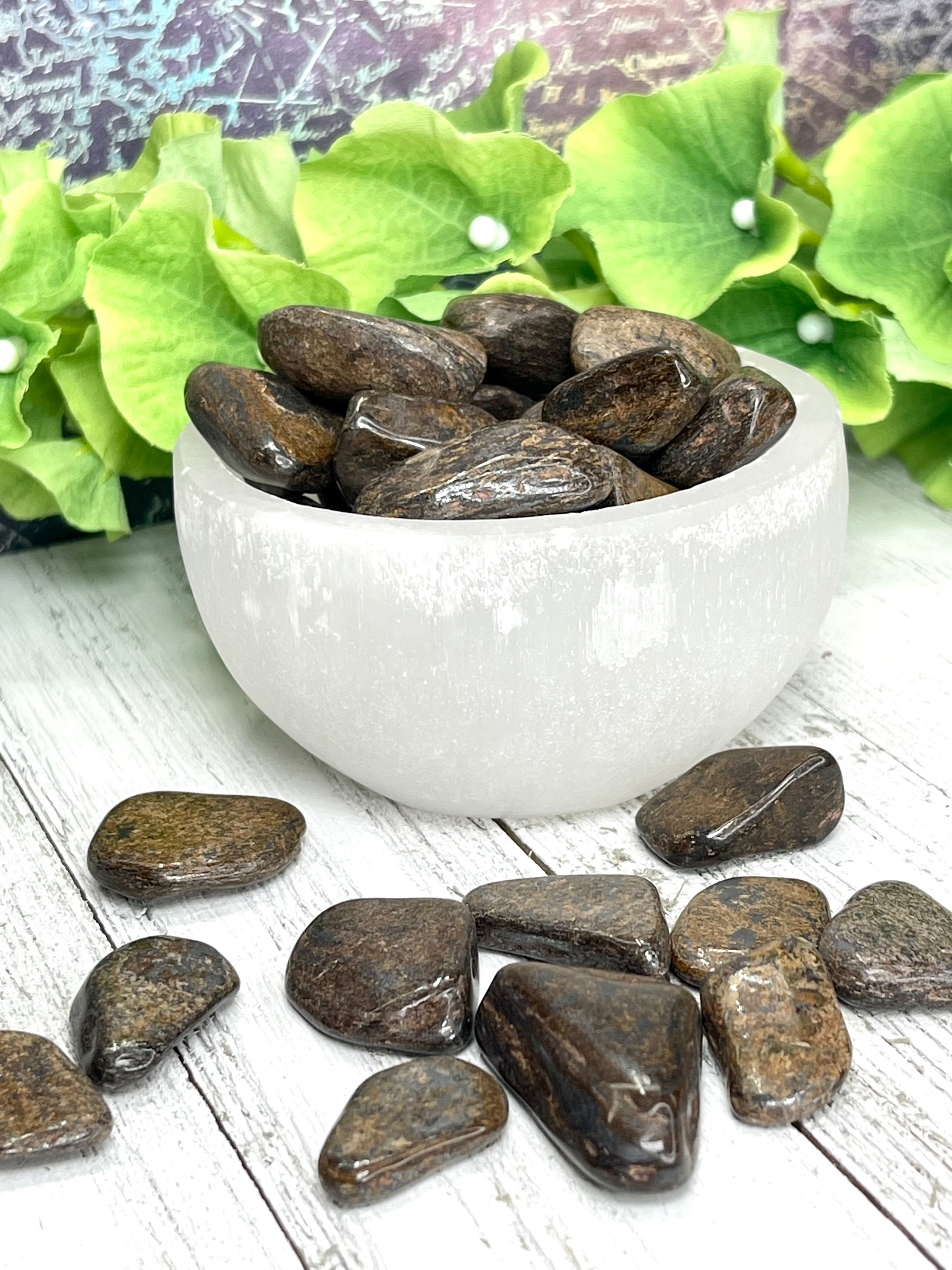 Bronzite Tumble