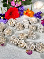 Desert Rose Selenite | Gypsum Rose | Sand Rose Crystal | Approx. 1 Inch