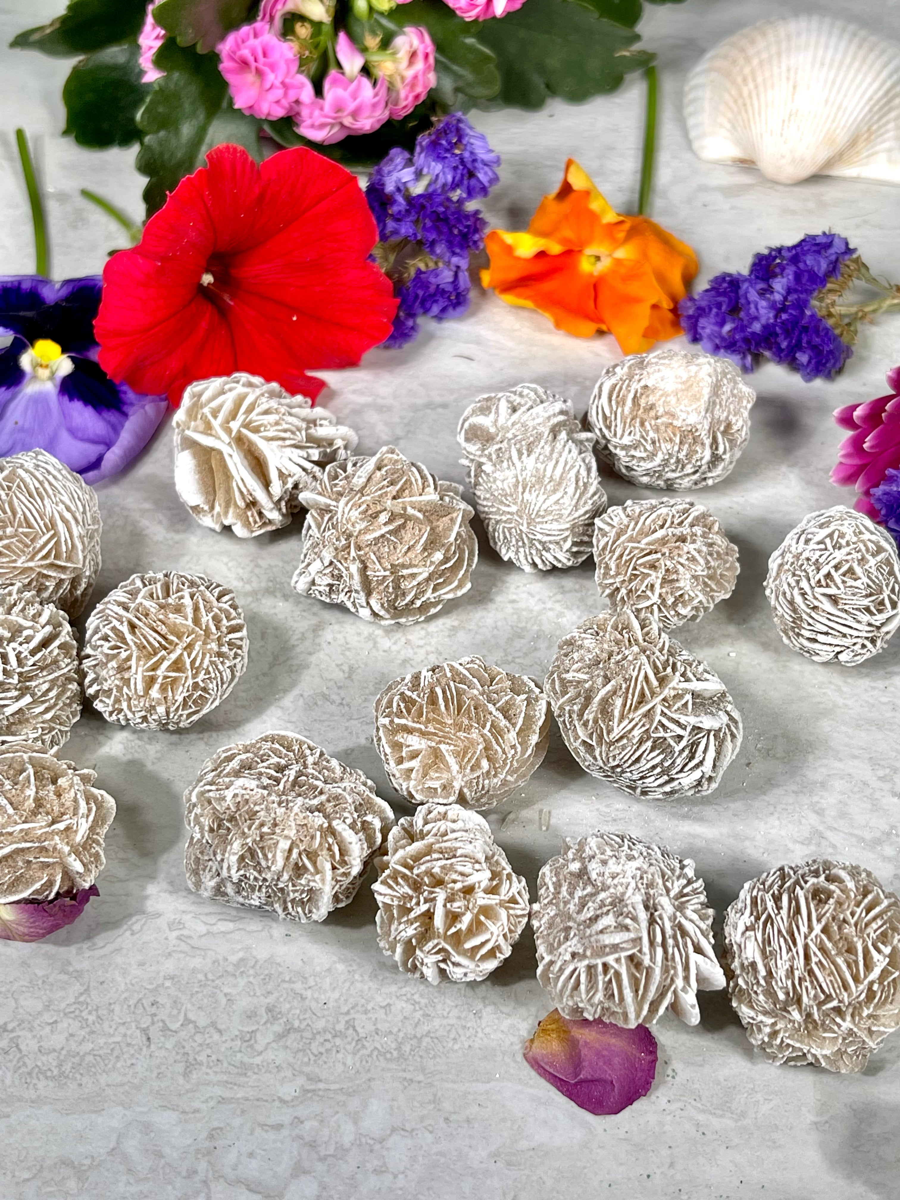 Desert Rose Selenite | Gypsum Rose | Sand Rose Crystal | Approx. 1 Inch