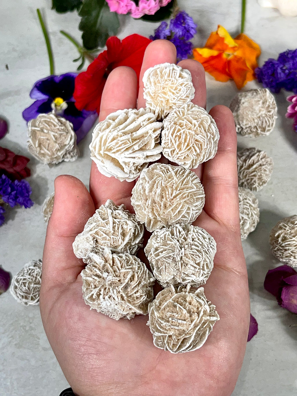 Desert Rose Selenite | Gypsum Rose | Sand Rose Crystal | Approx. 1 Inch