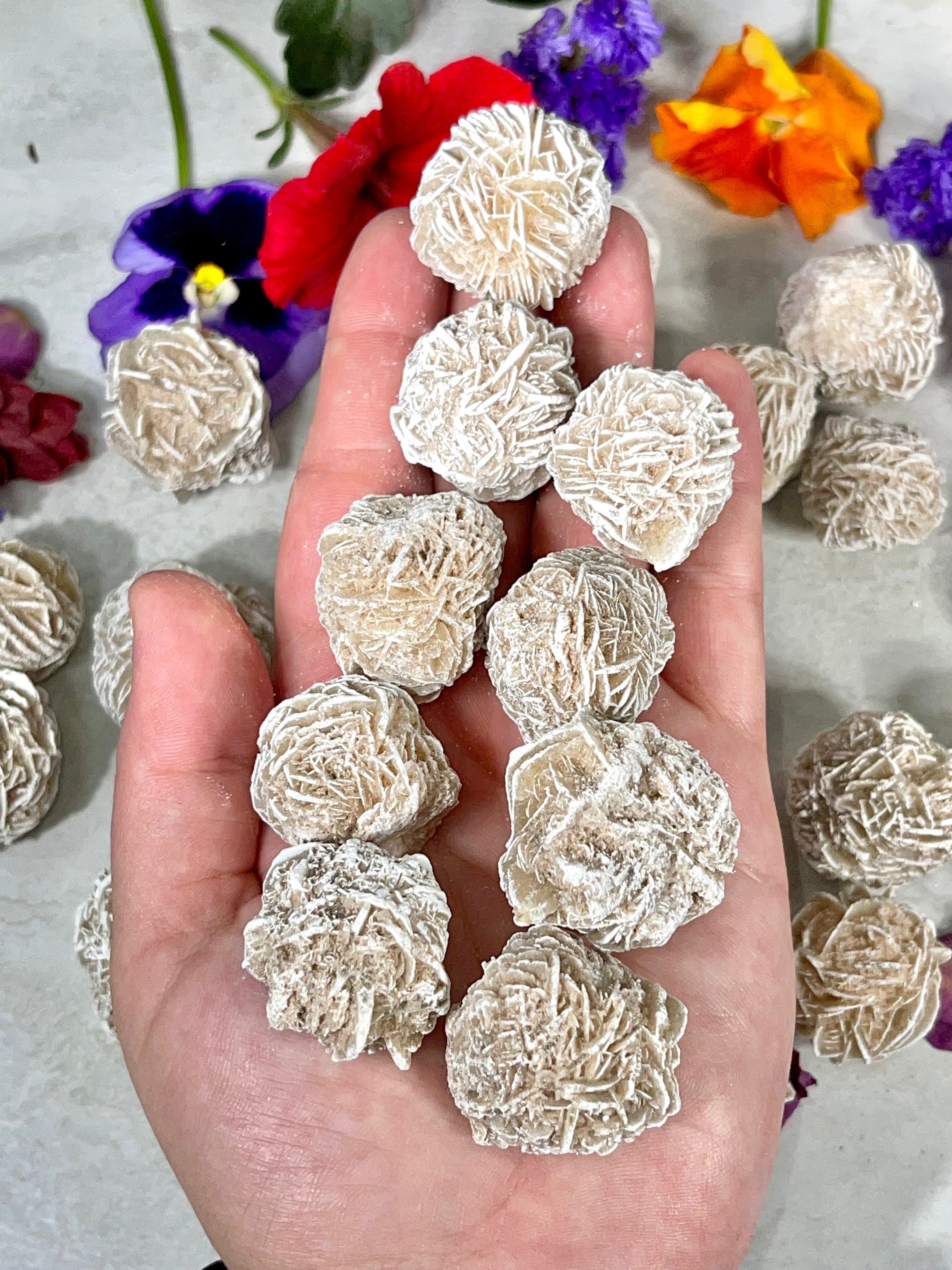 Desert Rose Selenite | Gypsum Rose | Sand Rose Crystal | Approx. 1 Inch