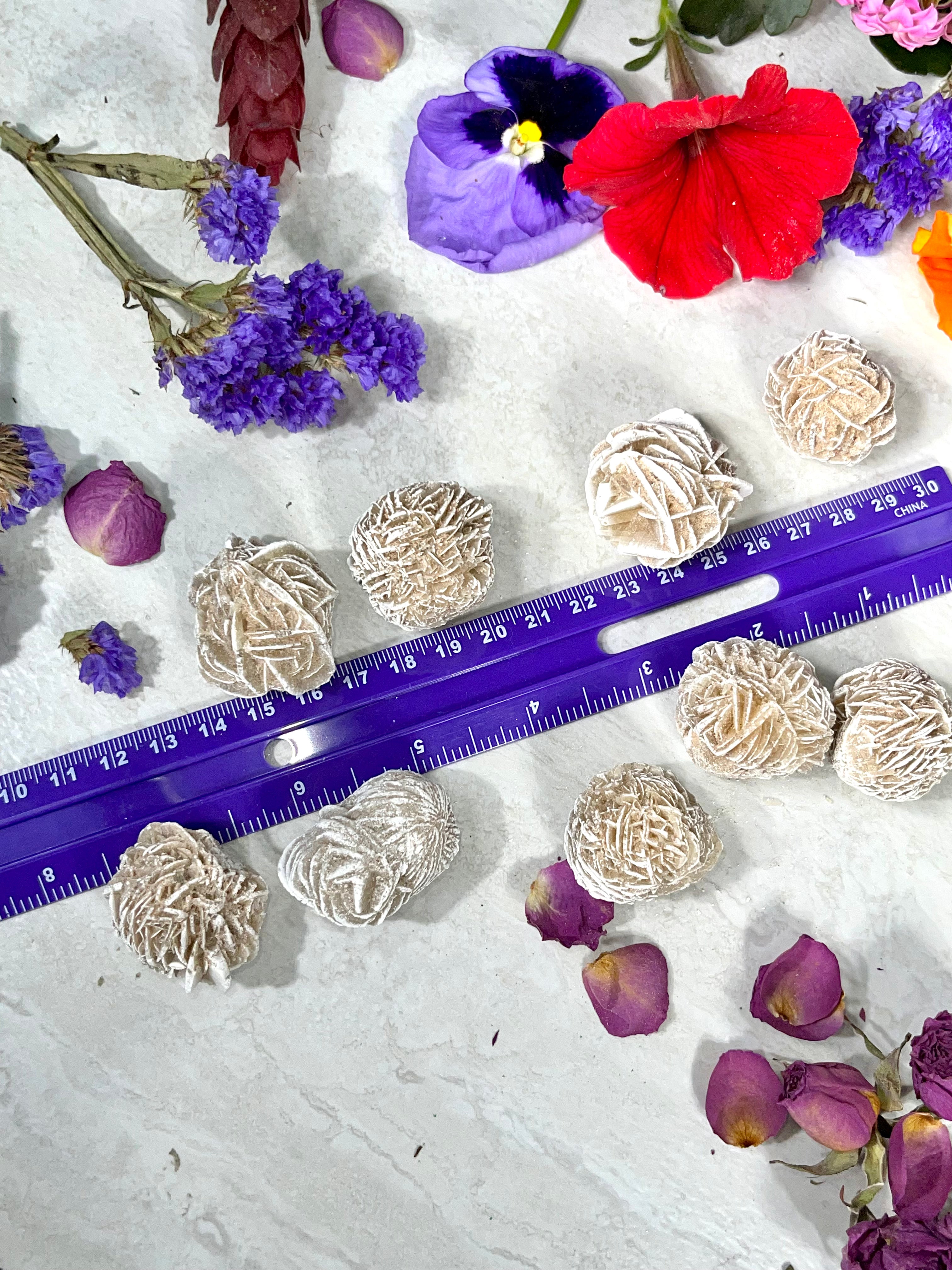 Desert Rose Selenite | Gypsum Rose | Sand Rose Crystal | Approx. 1 Inch