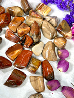 Petrified Wood Tumble