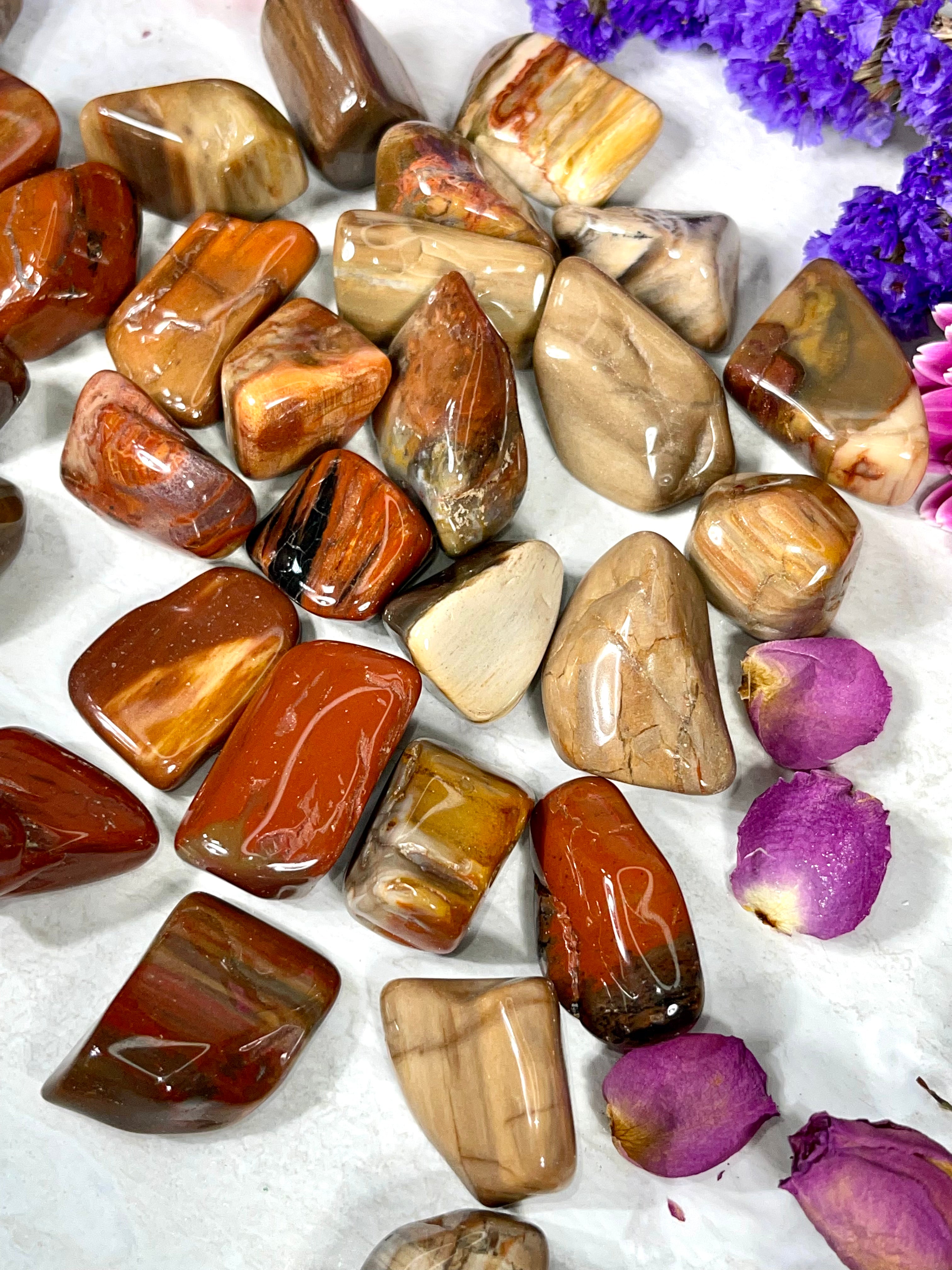 Petrified Wood Tumble