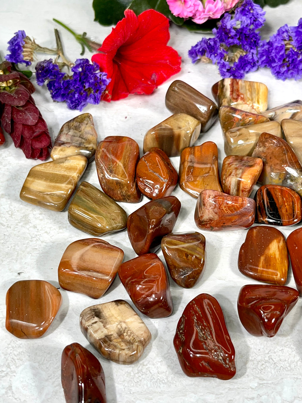 Petrified Wood Tumble