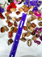 Petrified Wood Tumble
