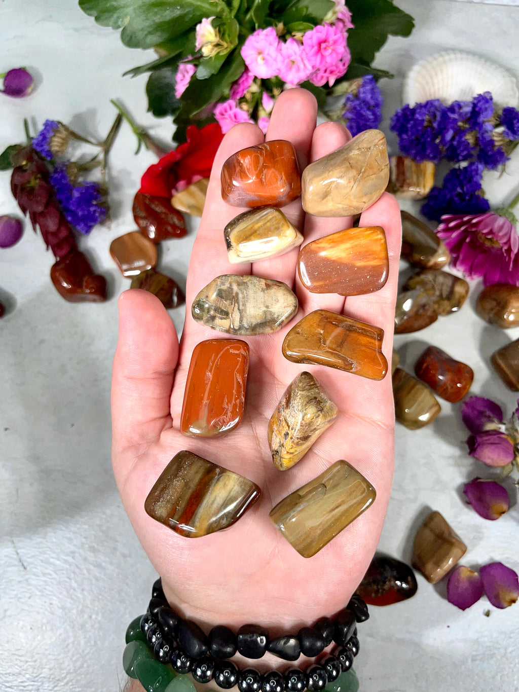 Petrified Wood Tumble