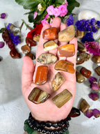 Petrified Wood Tumble