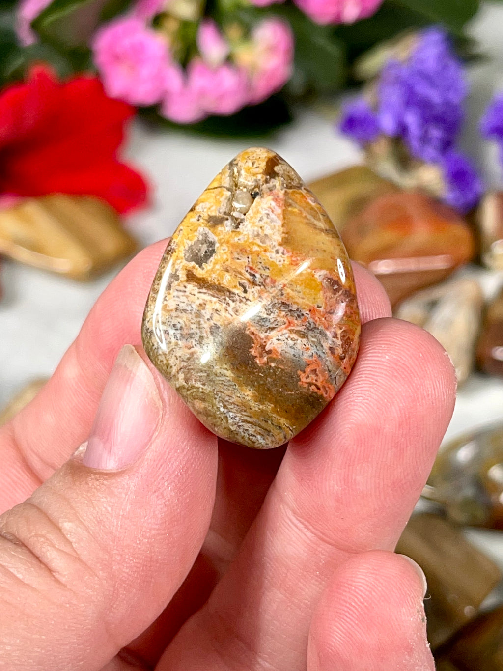 Petrified Wood Tumble
