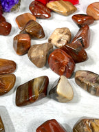 Petrified Wood Tumble