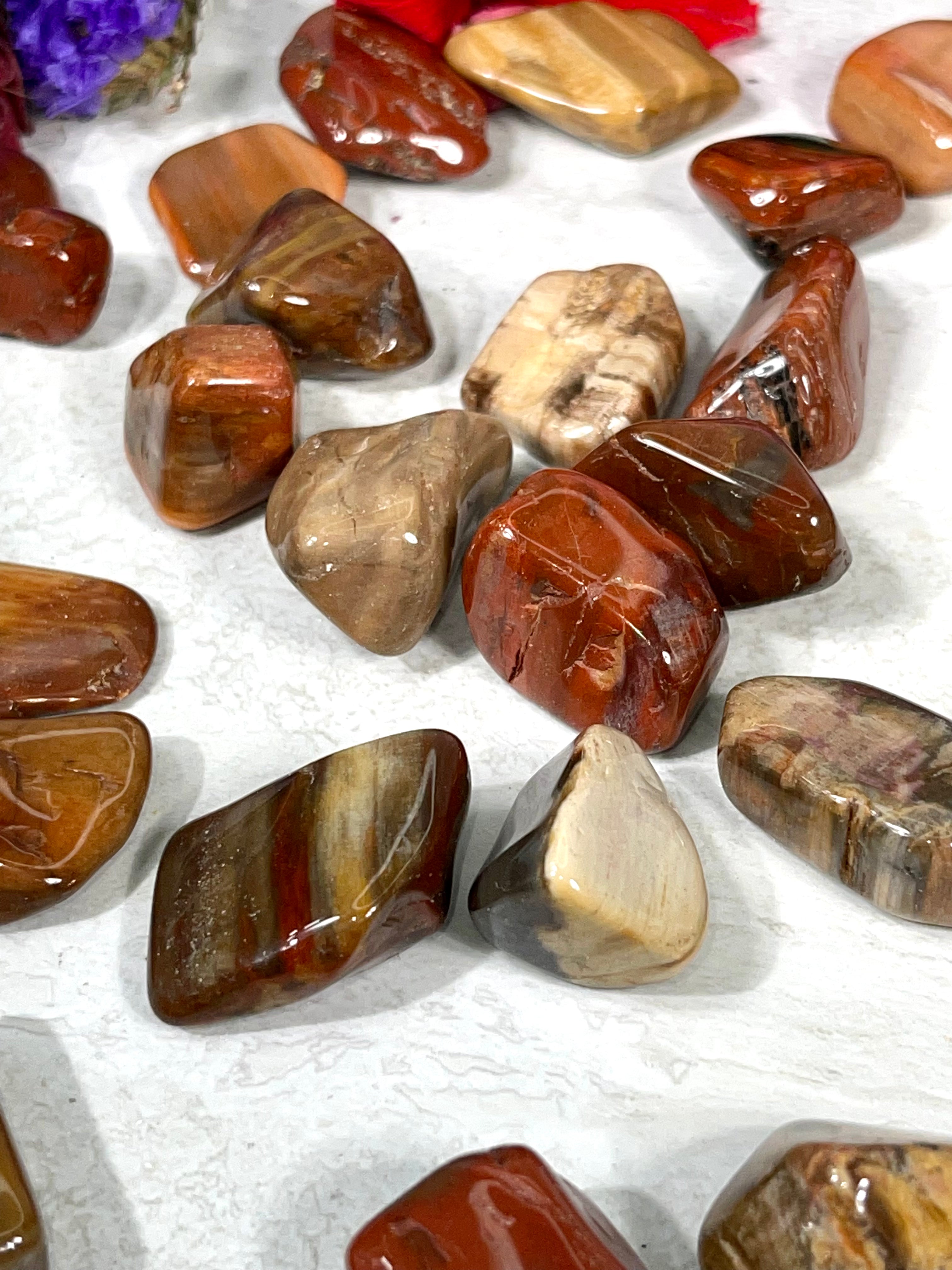 Petrified Wood Tumble