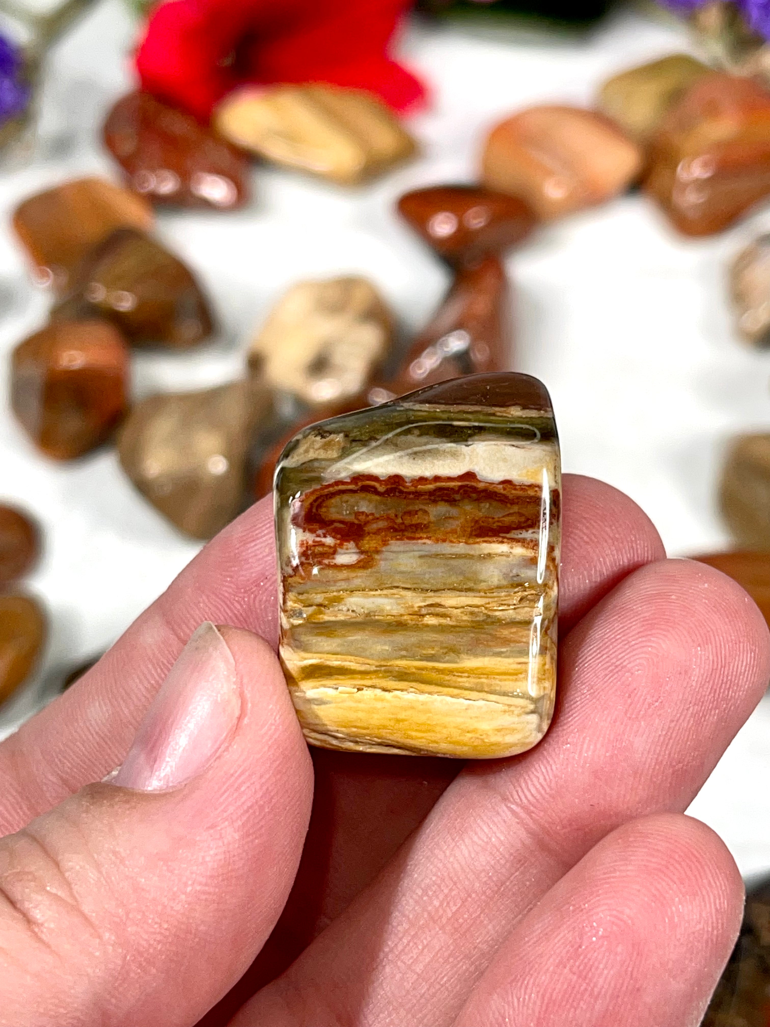 Petrified Wood Tumble