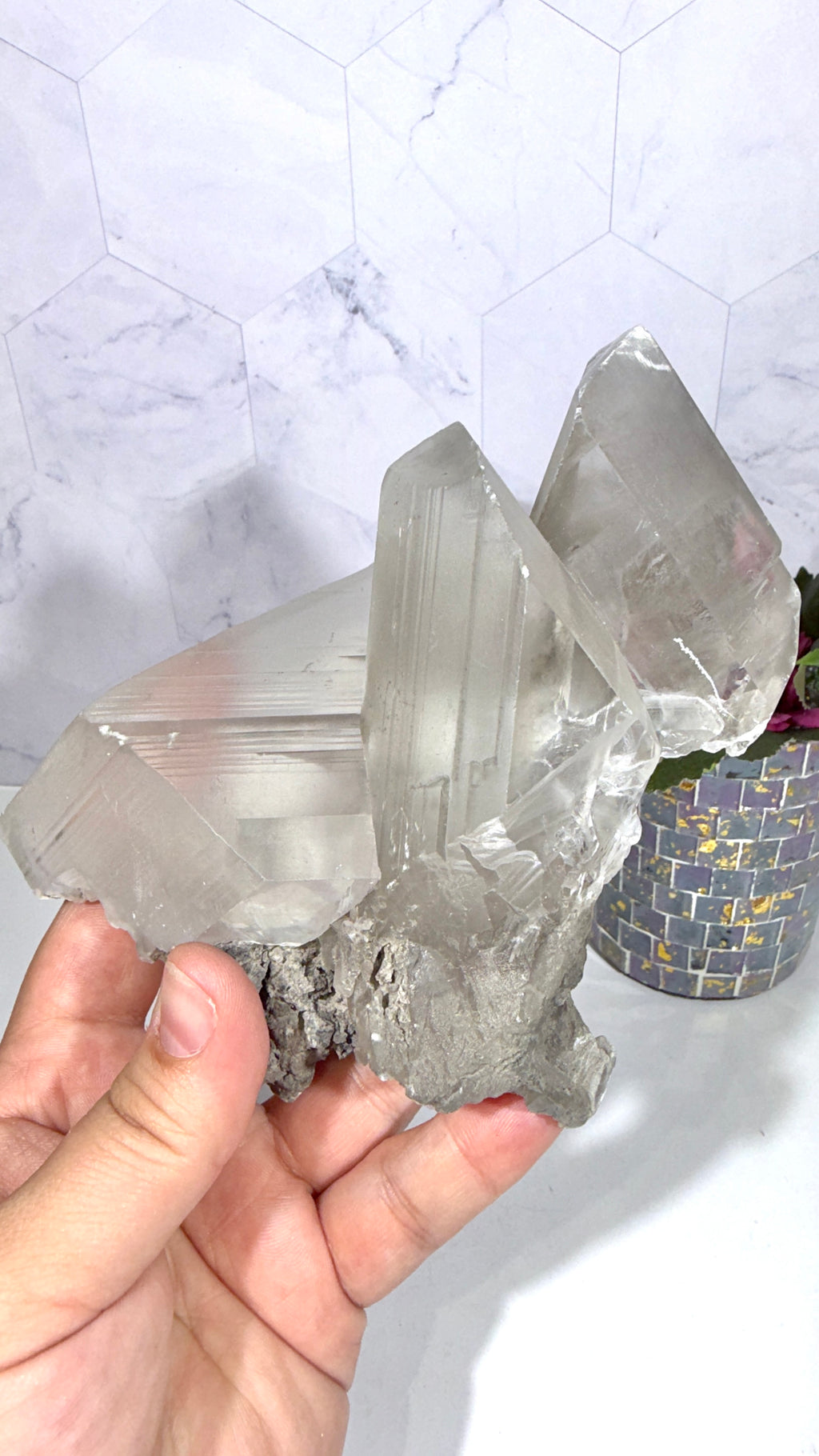 La Platosa Selenite