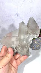 La Platosa Selenite