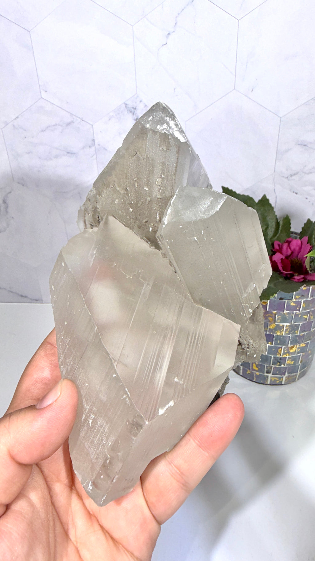 La Platosa Selenite
