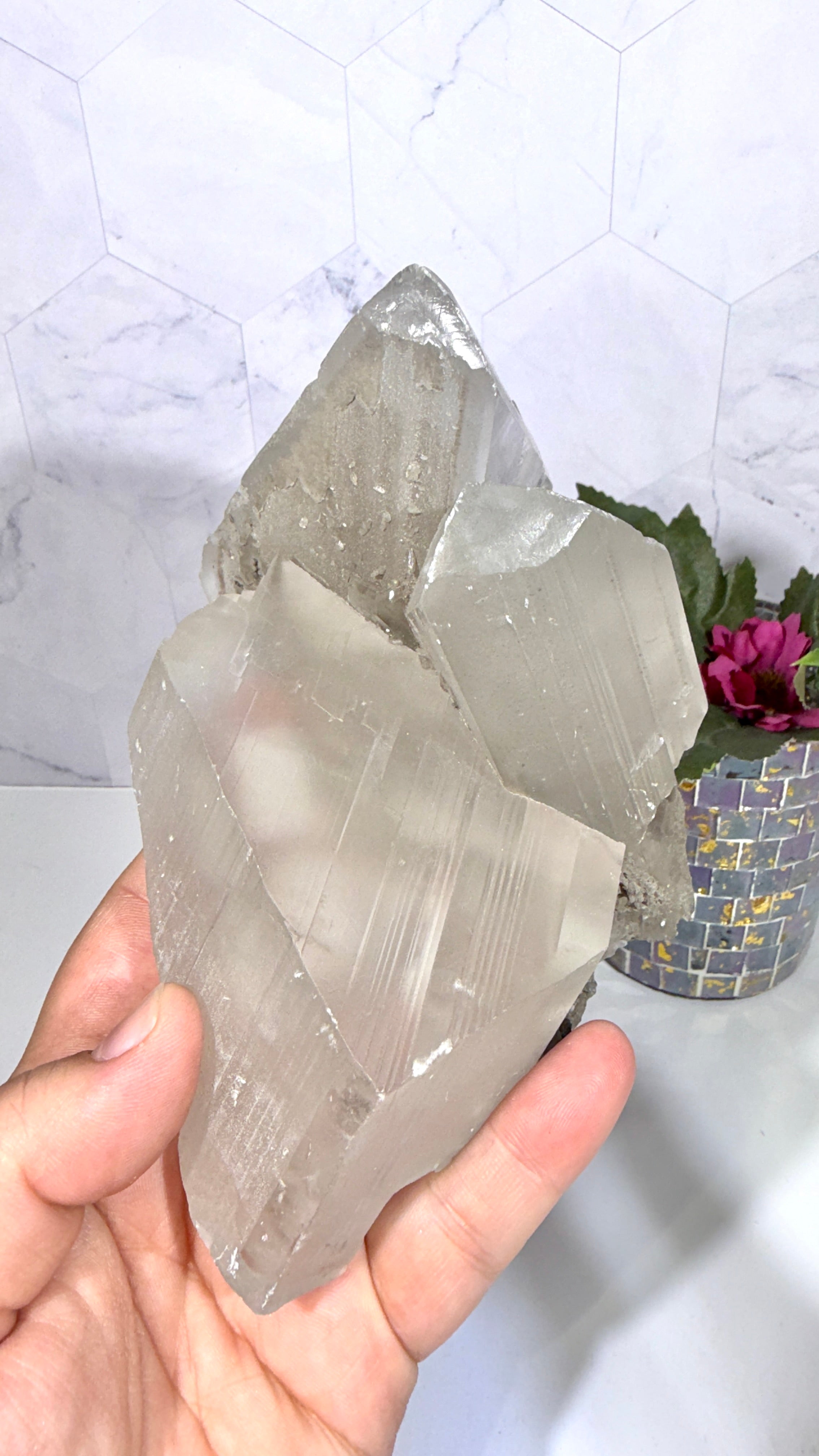La Platosa Selenite