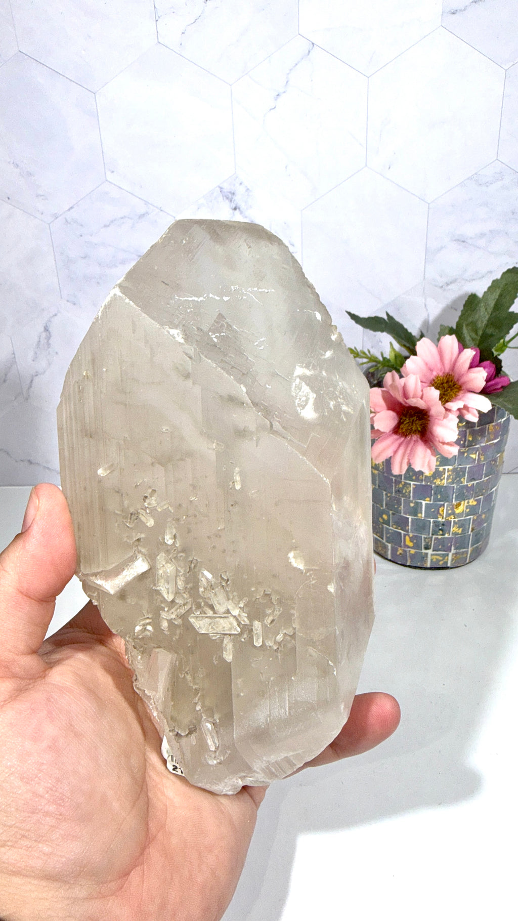La Platosa Selenite