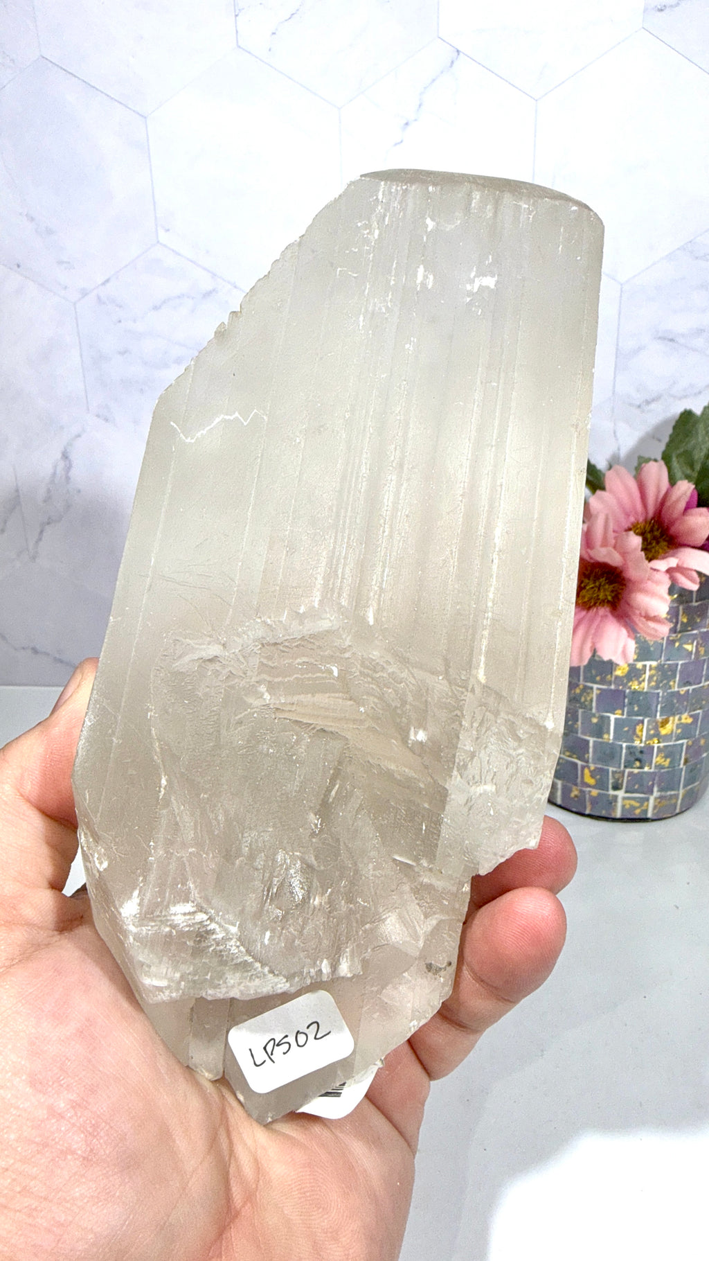 La Platosa Selenite