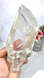 La Platosa Selenite