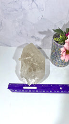 La Platosa Selenite