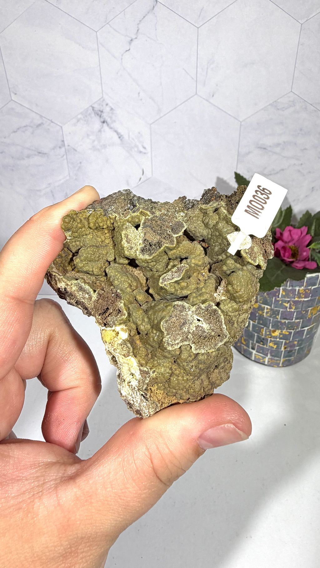 Mottramite from Mexico