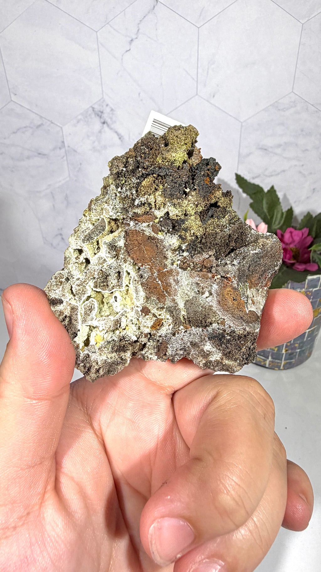 Mottramite from Mexico