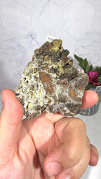 Mottramite from Mexico