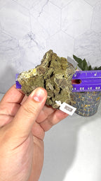Mottramite from Mexico