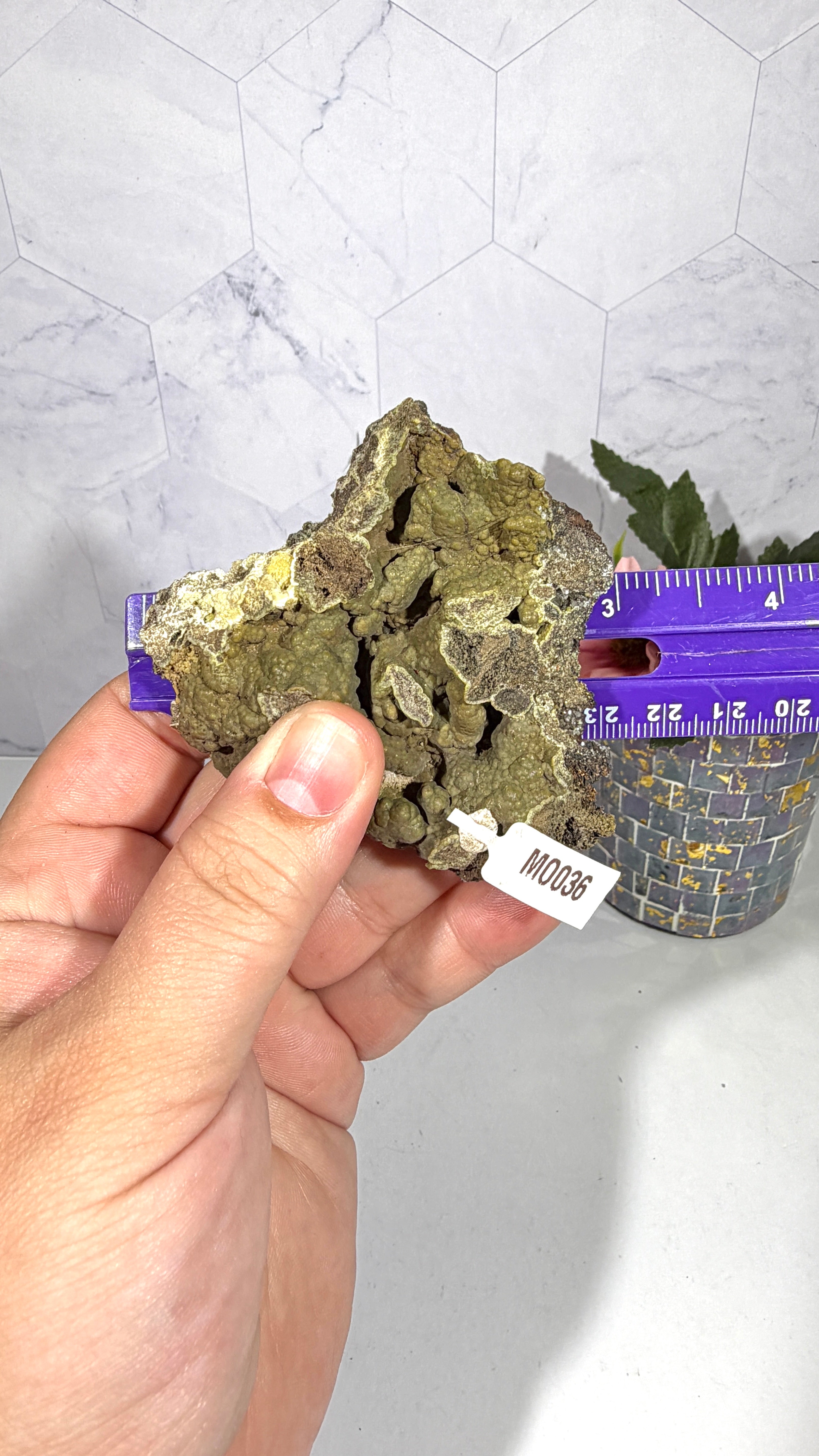 Mottramite from Mexico