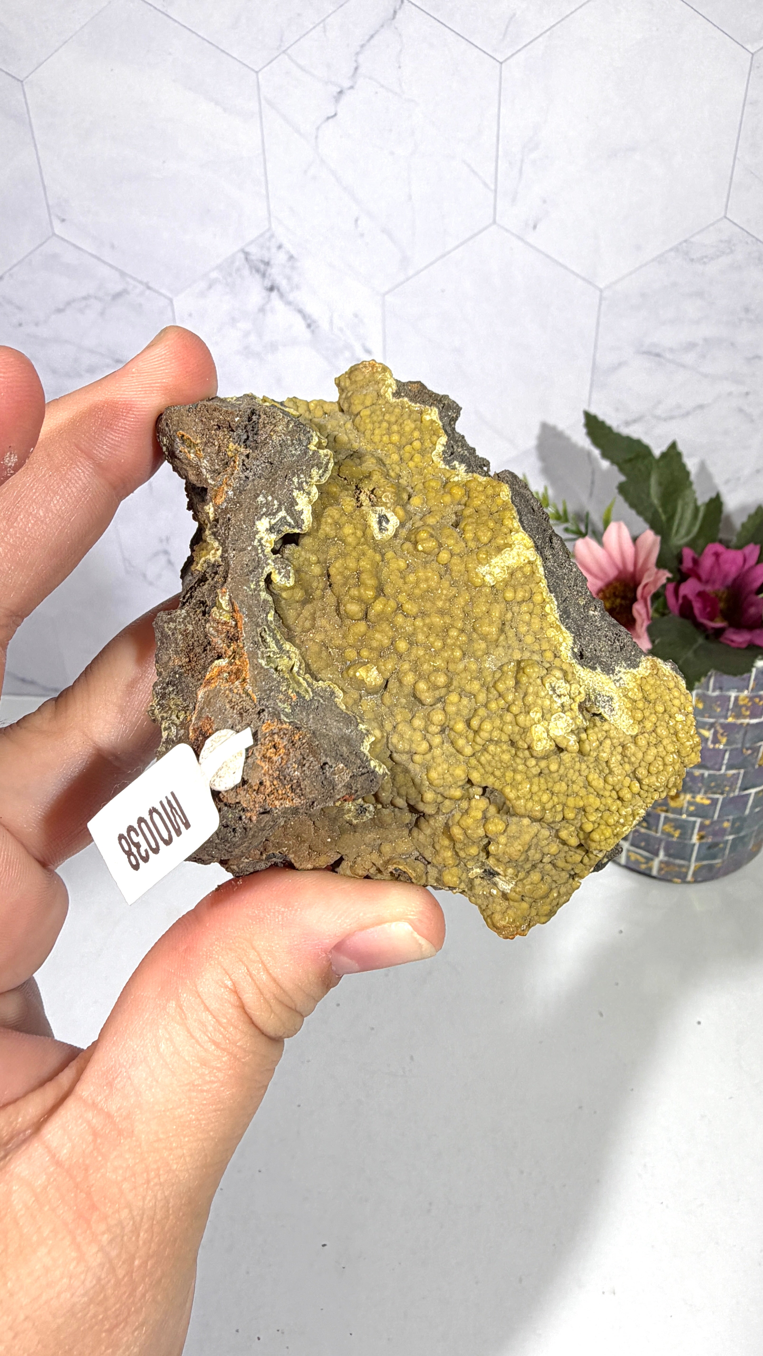 Mottramite from Mexico