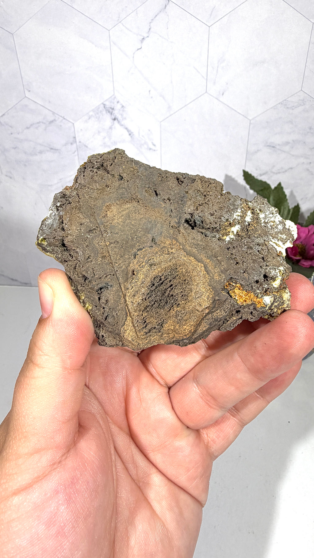 Mottramite from Mexico