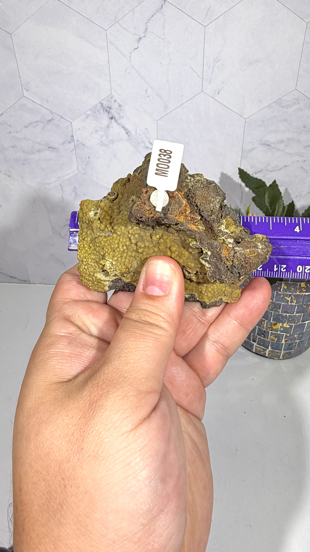 Mottramite from Mexico
