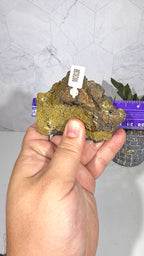 Mottramite from Mexico