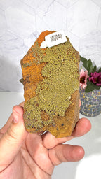 Mottramite from Mexico