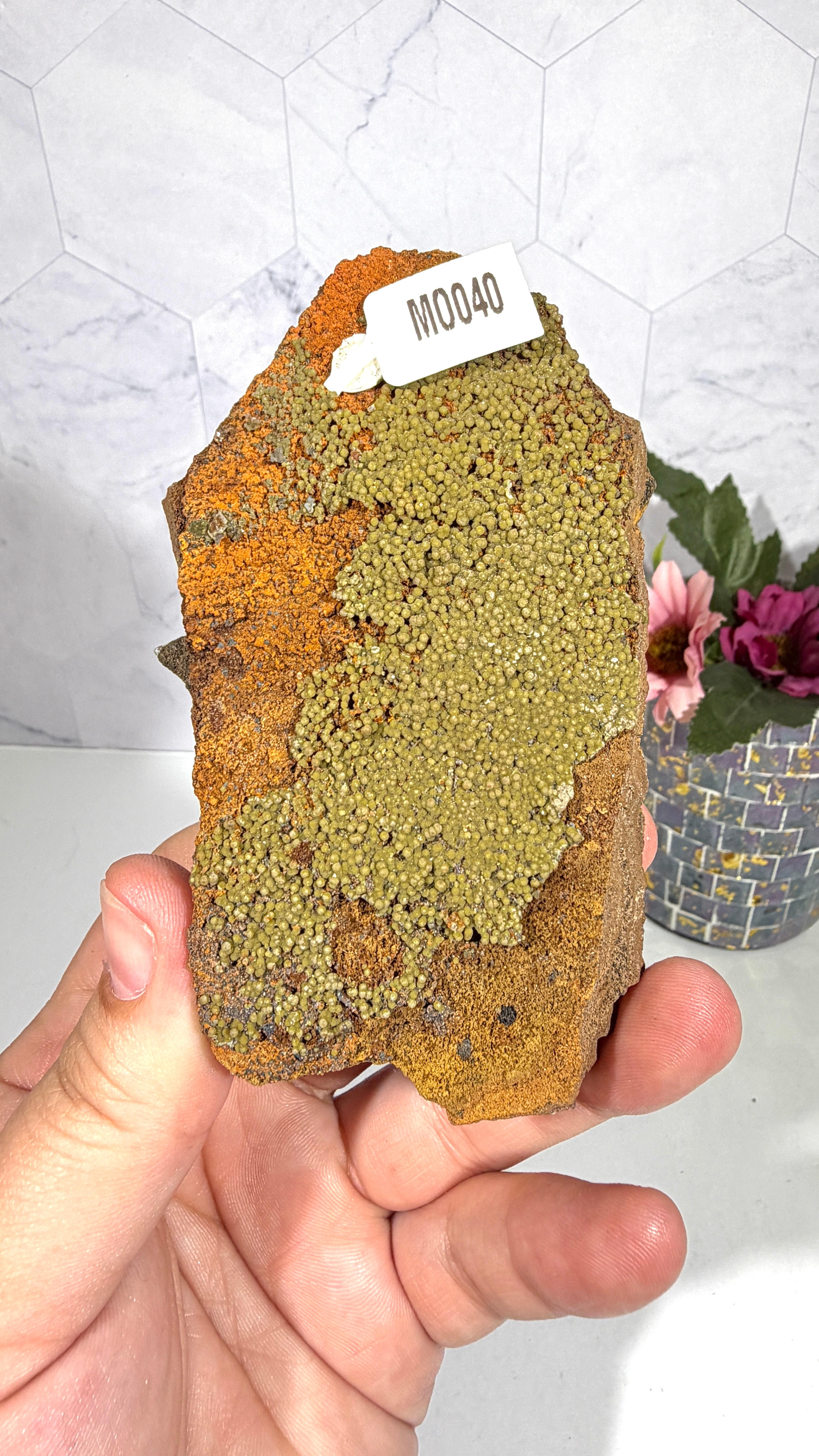 Mottramite from Mexico