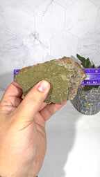 Mottramite from Mexico