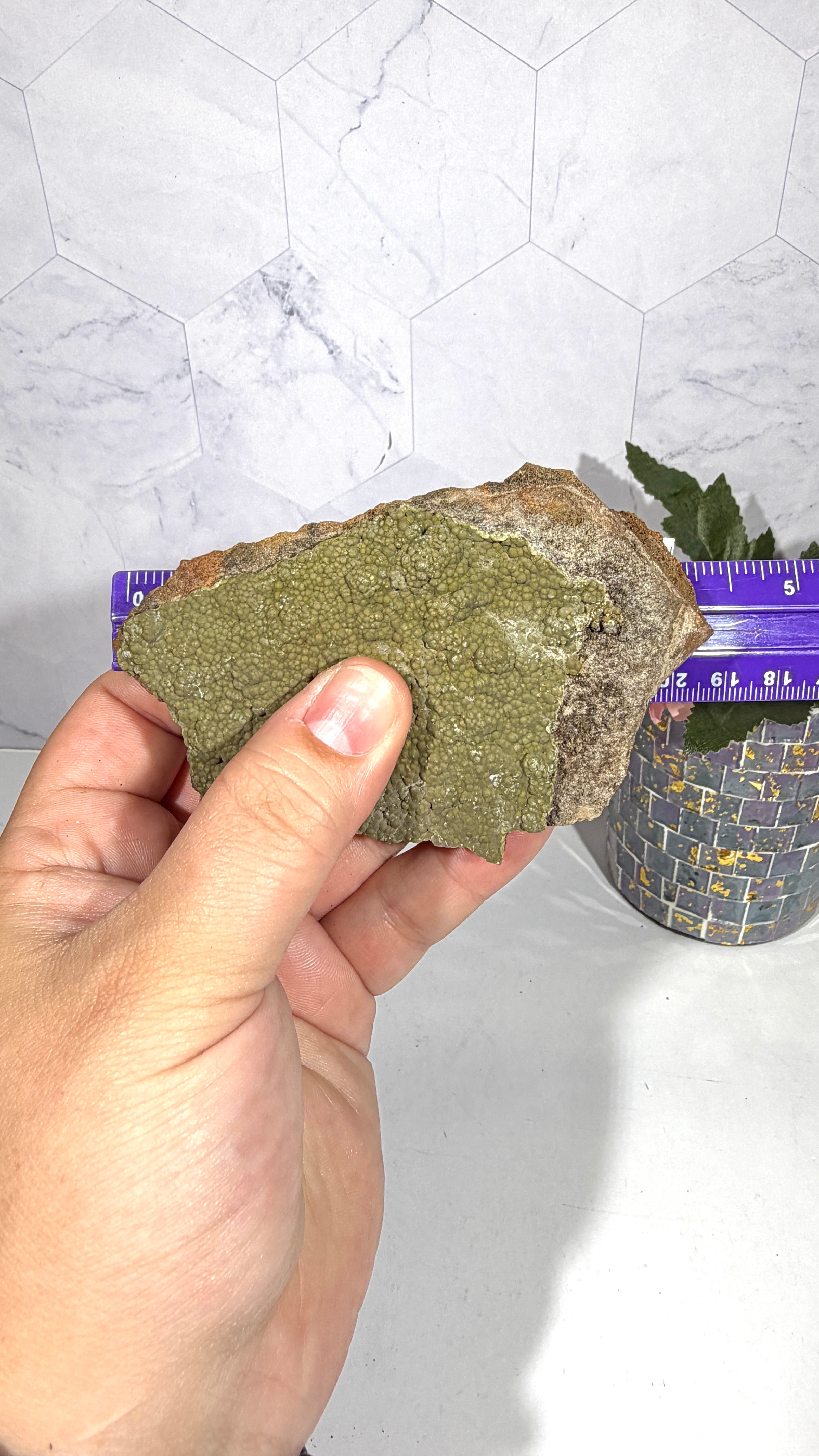 Mottramite from Mexico