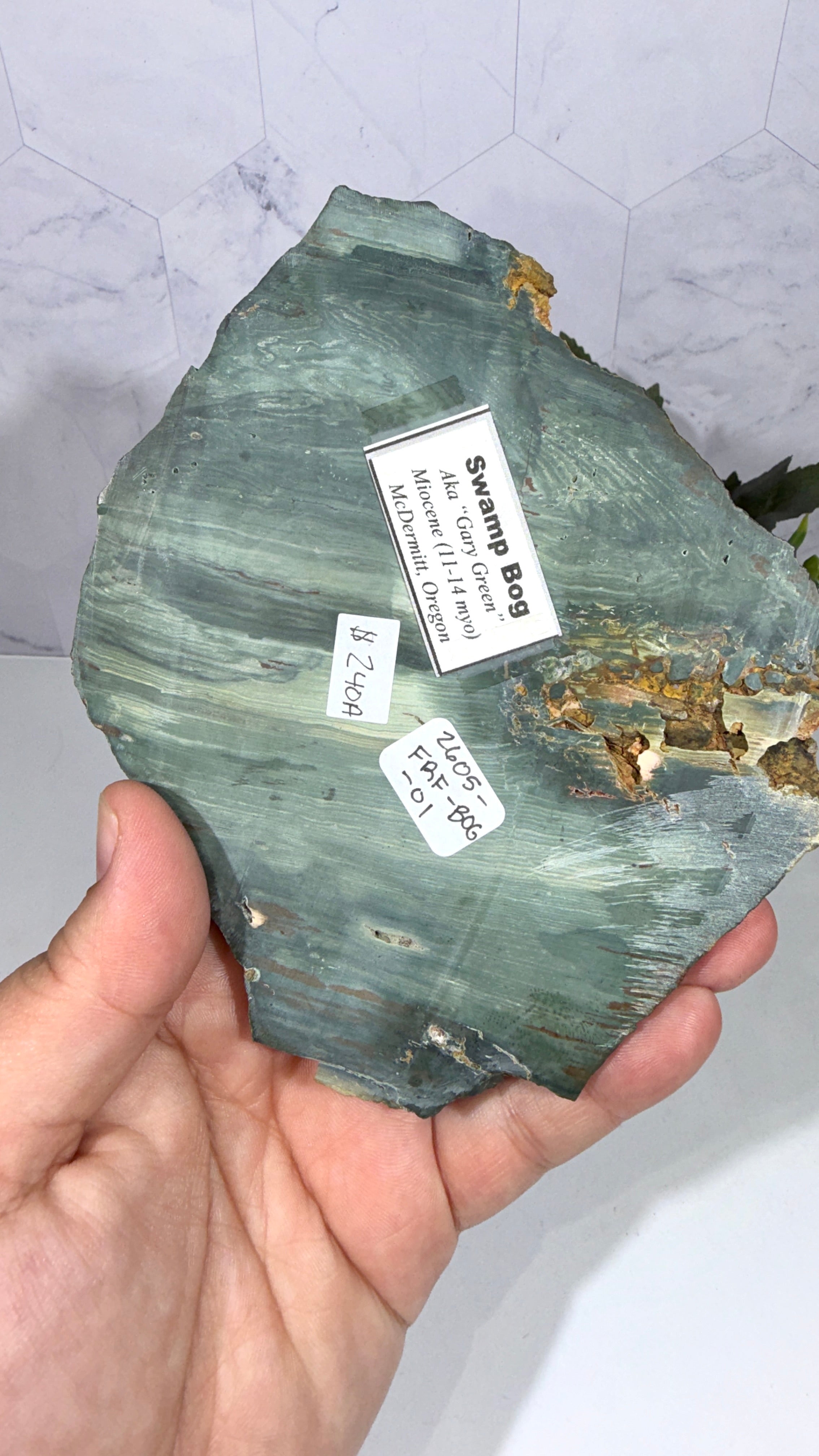 Larsonite Bogwood