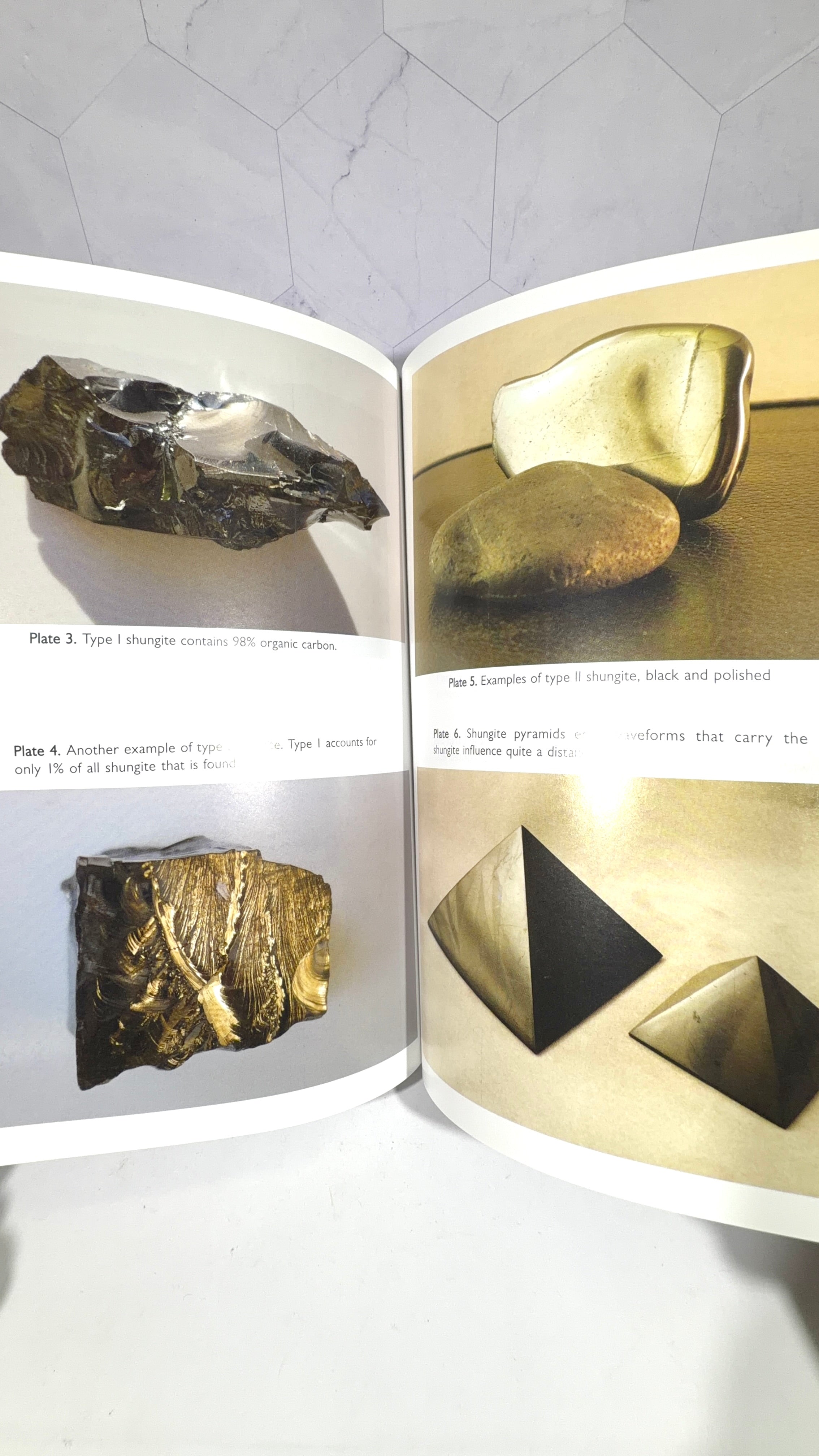 Shungite: Protection, Healing, and Detoxification by Regina Martino