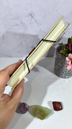 Egyptian Pharoah Journal