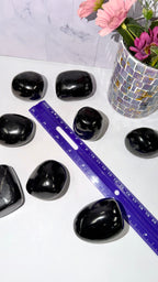 Shungite Palm Stone Free Form