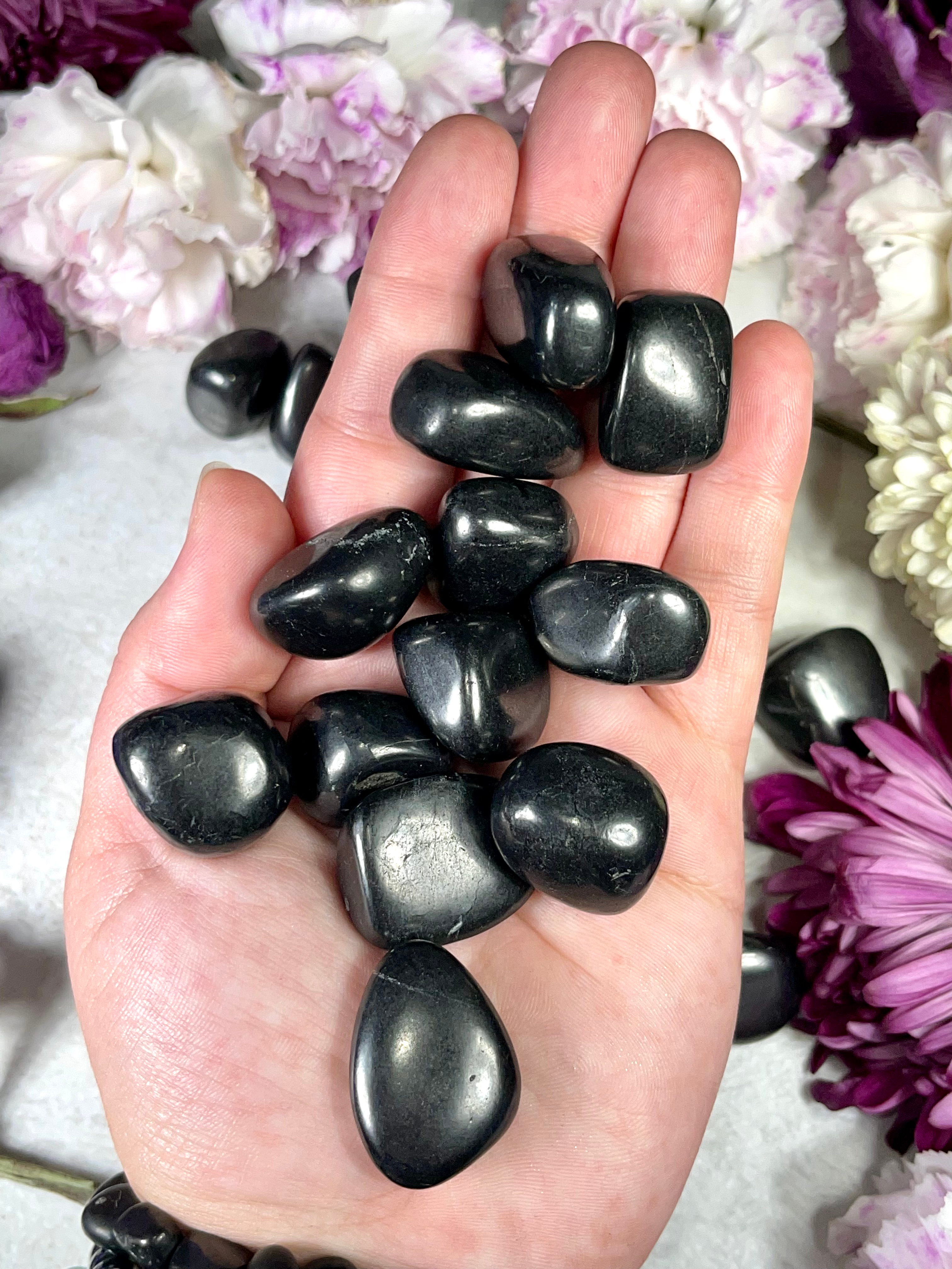 Shungite Tumble | Ground & Protect | Block EMFs
