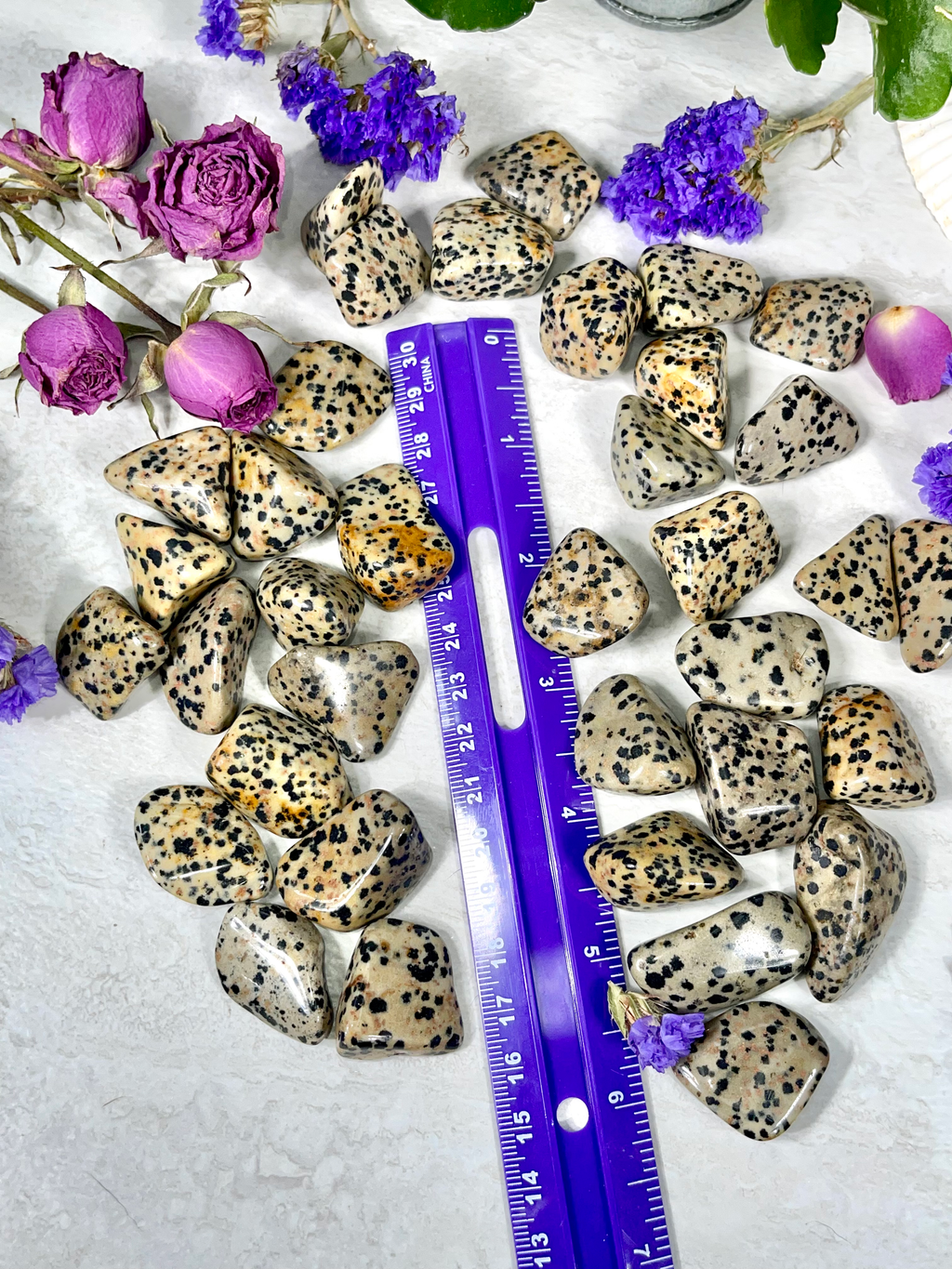 Dalmatian Jasper Tumble | Stone for Dog Lovers | Spotted Jasper Crystal