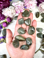 Labradorite Tumble | Third Eye Crystals