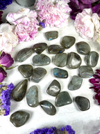 Labradorite Tumble | Third Eye Crystals